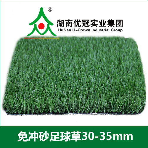 免充砂足球草.jpg