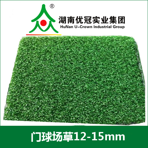 门球草.jpg